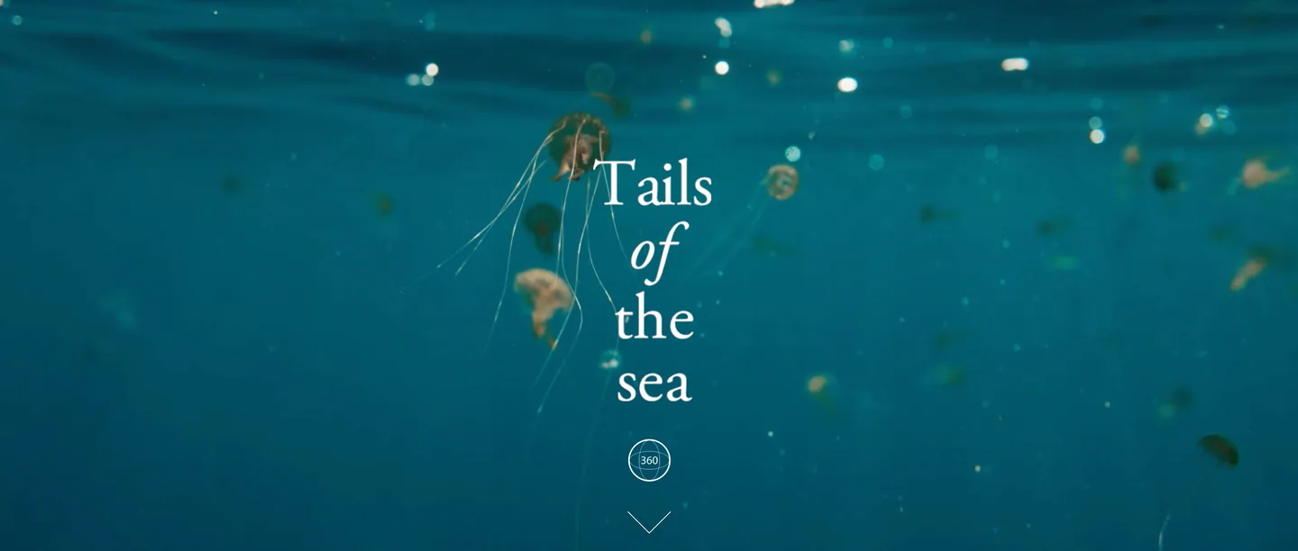 Krug Echoes, Facebook Instant Experience, Tails of the sea