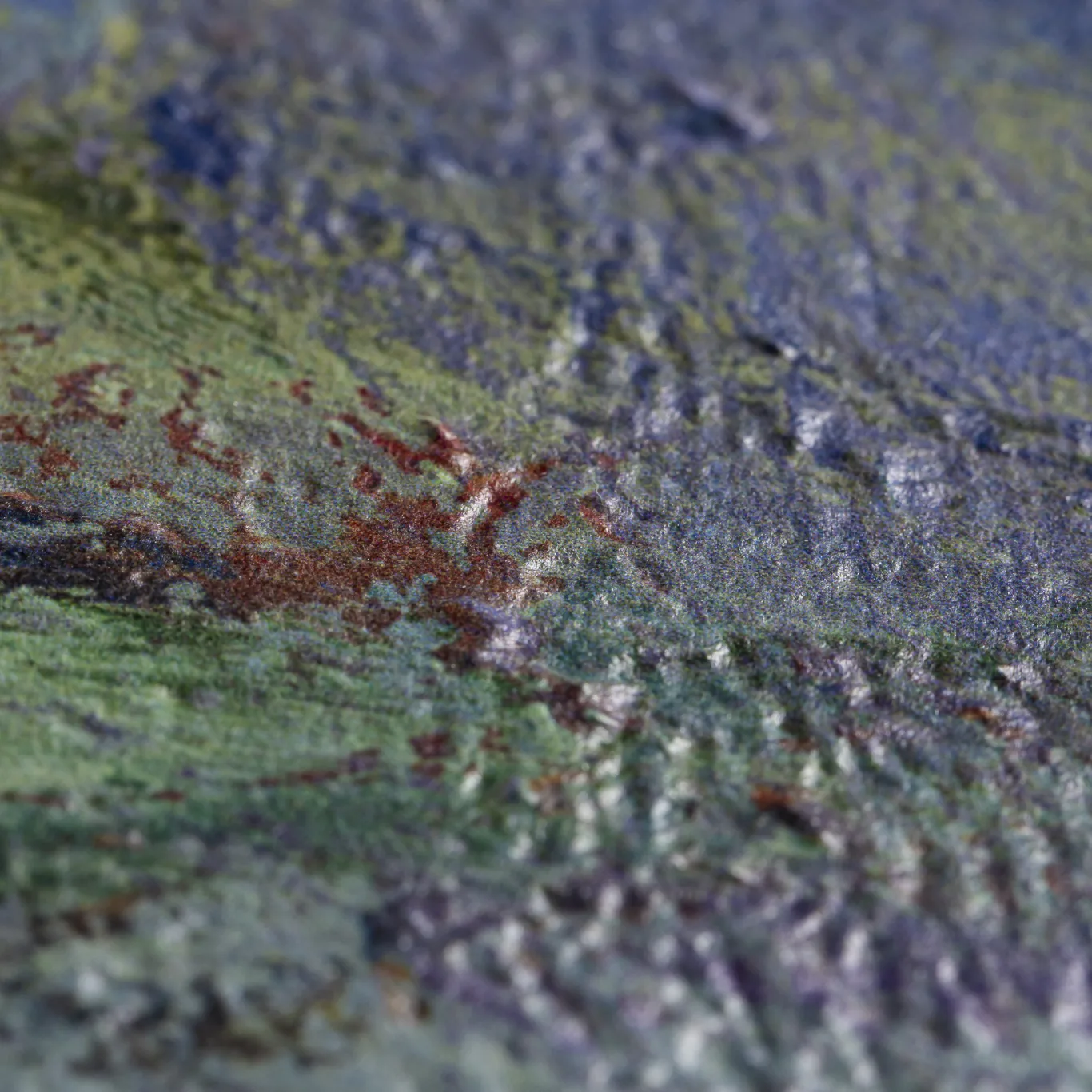 Lito, le relief des éditions, Monet et Matisse, 1 sur 2